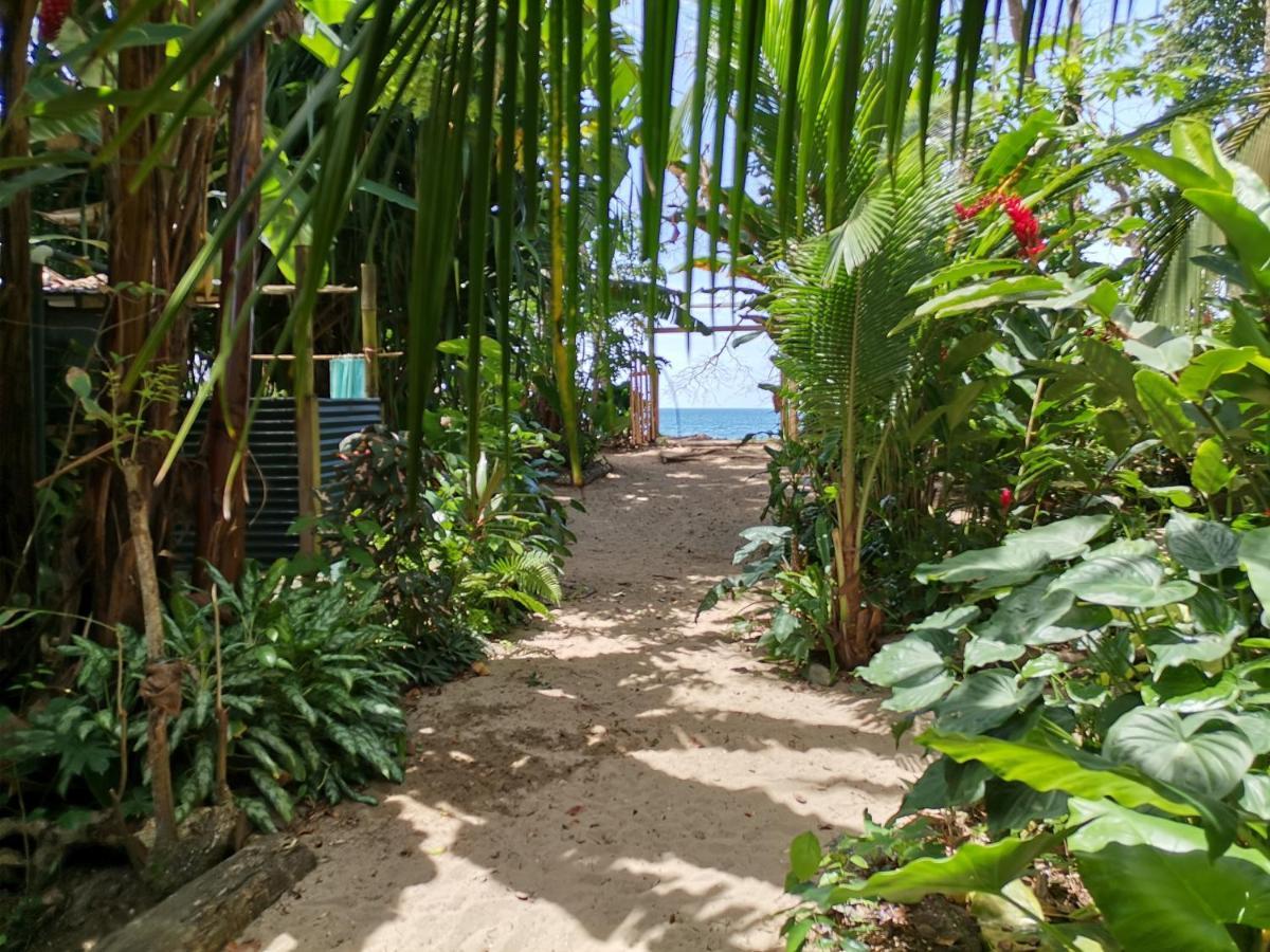 Oasis Beachfront Hostel Puerto Limon Esterno foto