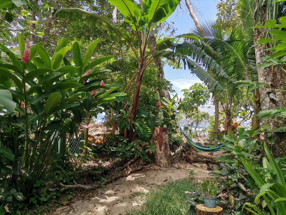 Oasis Beachfront Hostel Puerto Limon Esterno foto